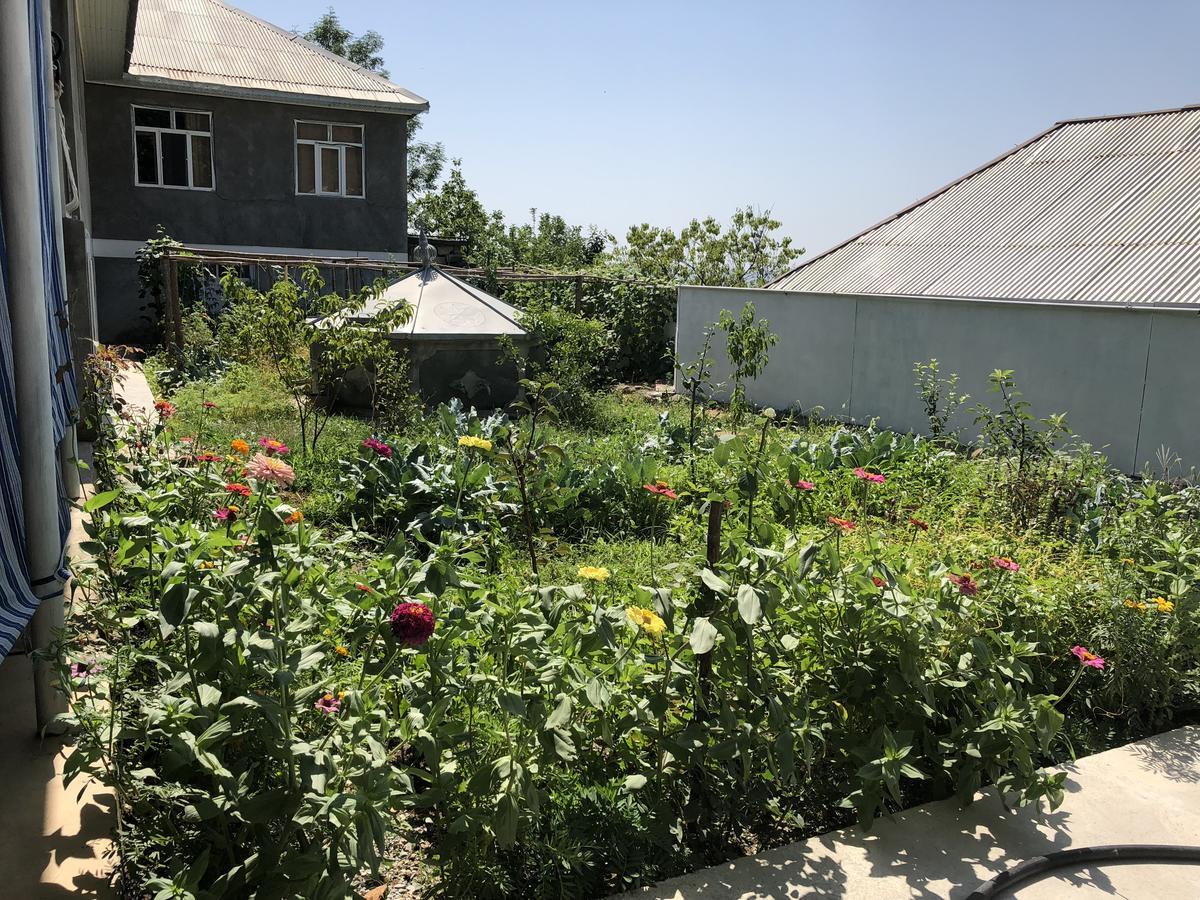 Shaki Host House Bed & Breakfast Sheki Ngoại thất bức ảnh